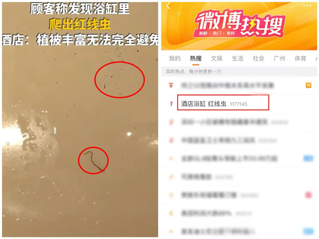 0ed5e9f6-7842-494c-8257-fe5d970fddca.png