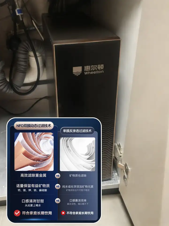 惠尔顿轻矿净水器