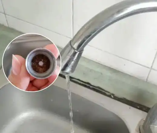 水質(zhì)