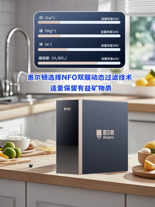惠尔顿轻矿净水器