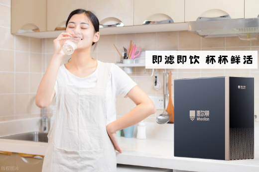 惠尔顿轻矿净水器