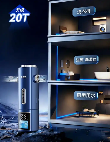 20T/h大通量