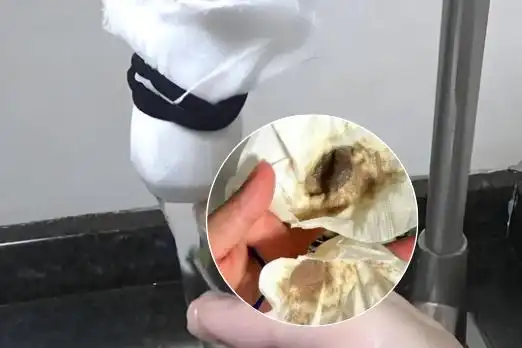 如何挑选适合自家水质的前置过滤器？3步搞定选购难题！