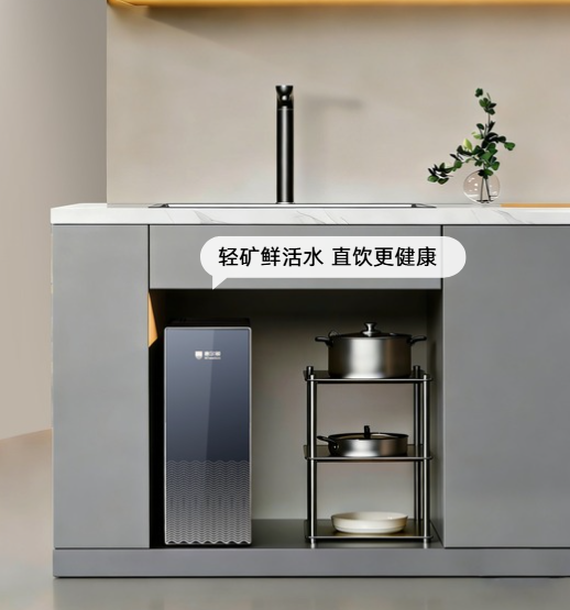 惠尔顿轻矿净水器