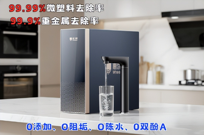 惠尔顿轻矿净水器